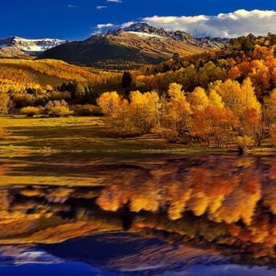 华体会登录手机app下载