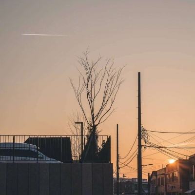 beat365手机版官方网站app下载