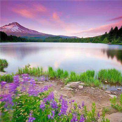 NG体育下载手机版